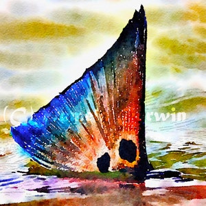 Redfish watercolor, redfish print, red drum art, redfish tailing, red drum watercolor, fish art, redfish painting, spottail bass, red drum