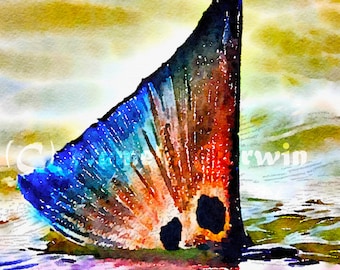 Redfish watercolor, redfish print, red drum art, redfish tailing, red drum watercolor, fish art, redfish painting, spottail bass, red drum