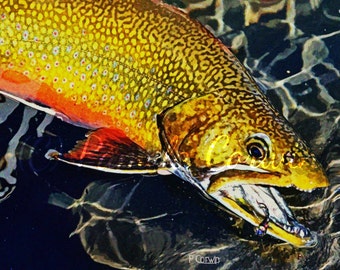 Brook Trout art: brook trout colored pencil print, Brook Trout caught while fly fishing print 11x14", brook trout fly fishing, trout drawing