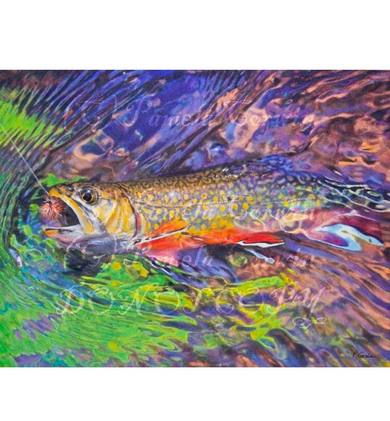Brook Trout Print Brook Trout Art Fly Fishing Print Colored Etsy