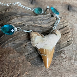 Shark tooth necklace, elegant shark necklace, fossil tooth necklace, shark necklace, megalodon, fossil necklace, fossil jewelry, fossil toot