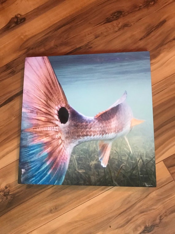 RED DRUM CHANNEL BASS REDFISH FISH PAINTING FISHING ART REAL CANVAS PRINT