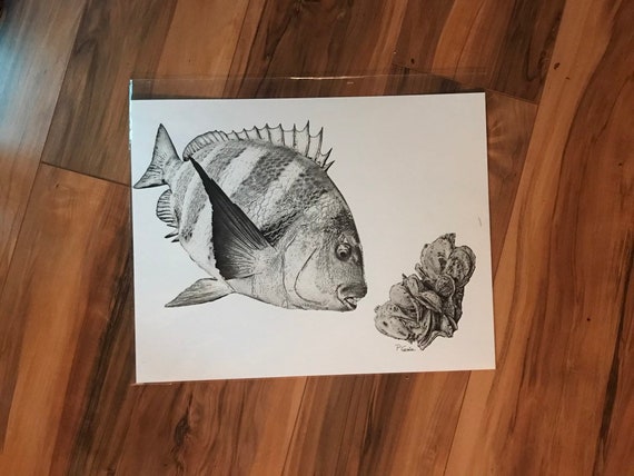 Schafkopf Zeichnung Schafkopf Druck Schafskopf Fisch Etsy