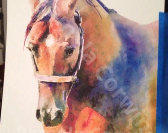 Watercolor horse: original horse painting, Arabian horse watercolor, watercolor Arabian, Arabian painting, horse art watercolor, horse decor