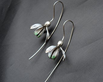 Eco friendly Snowdrops