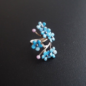 Ring forget-me-not