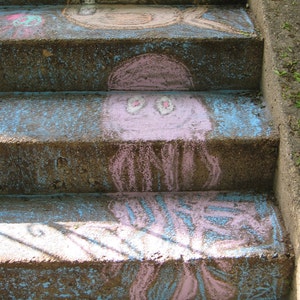 Octopus & fish in sidewalk chalk-5x7