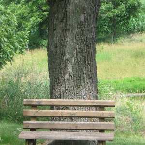 May include: A wooden bench with three slats sits in front of a large tree trunk. The bench is weathered and has a few scratches on the surface. The tree trunk is brown and has a rough texture.