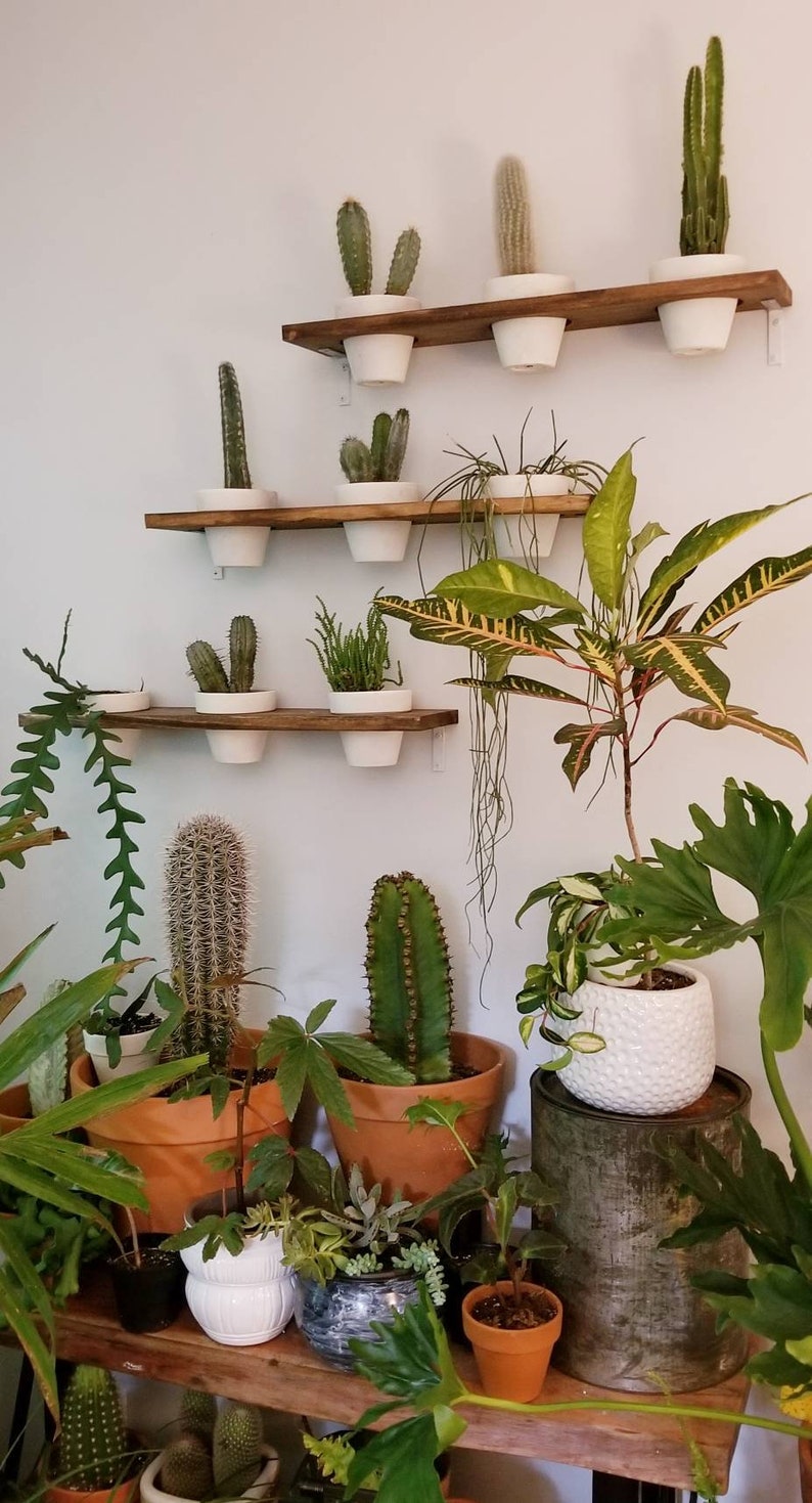 Plant Wall Shelf Wood Terracotta Pots Set Vertical