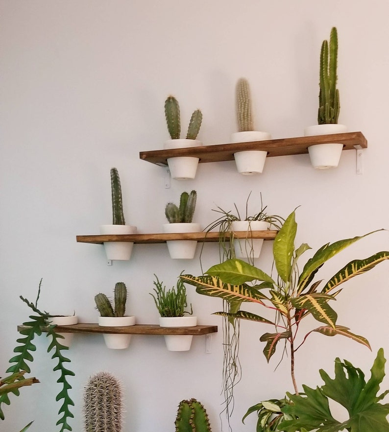 Plant Wall Shelf Wood Terracotta Pots Set Vertical