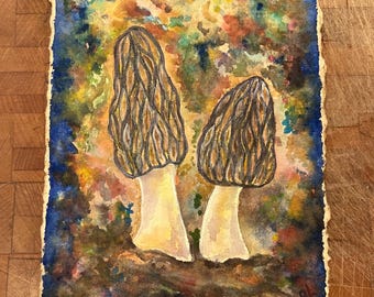 Morel Mushrooms a Becci Lubbers Original Watercolor Painting
