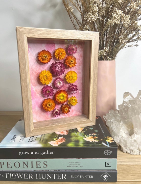 Dried Flower Shadow Box Dried Strawflowers Shadow Box Etsy
