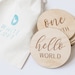 Monthly Milestone Marker Disc for Baby, Wooden Baby Month Marker Cards 
