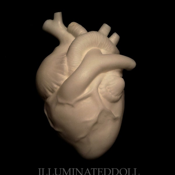 The Heart (WHITE UNPAINTED resin kit)