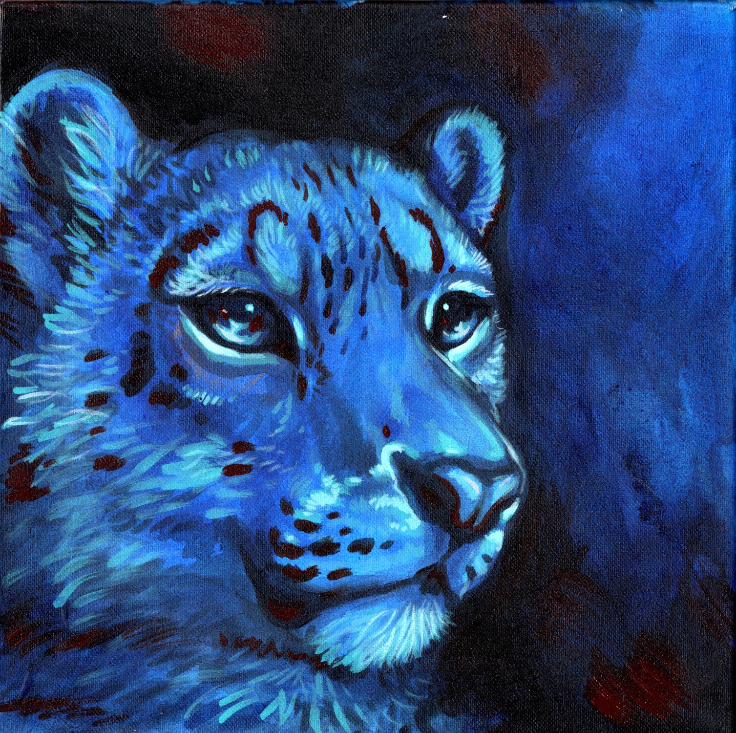 Warmed Blue Snow Leopard, Leopard, 12x12, Acrylic, Canvas