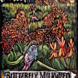 Farfalla Milkweed