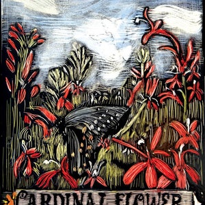 Cardinal fiore