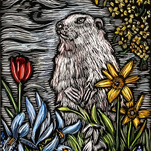 Carte Danniversaire Drole Marmotte Tapis Rouge Bienvenue Etsy Carte Danniversaire Drole Marmotte Tapis Rouge Bienvenue Etsy