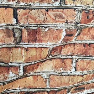 May include: Close-up of a brick wall with a weathered appearance. The bricks are primarily reddish-brown with variations in colour, and are separated by white mortar. The wall has a textured surface and a slightly uneven pattern.