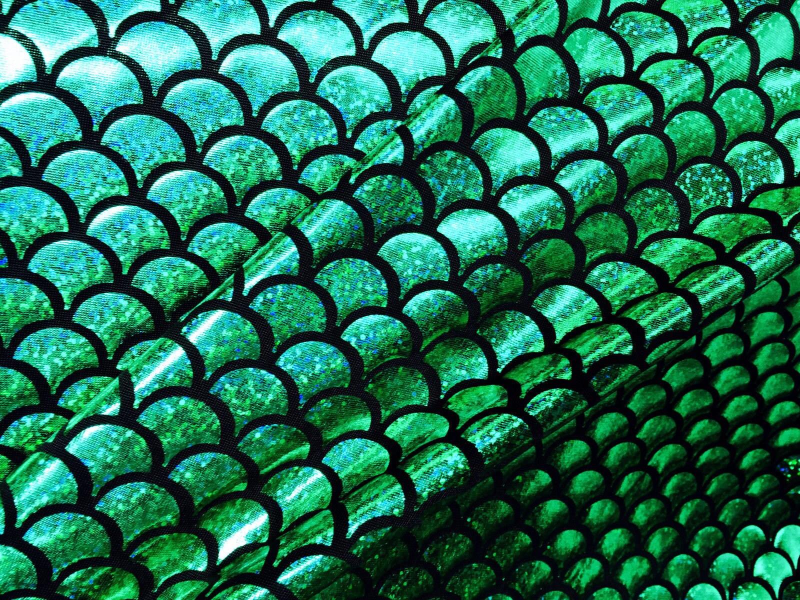 Как называется чешуя. Космоидная чешуя. Типы чешуи рыб. Как называется чешуя. Судак чешуя ктеноидная.