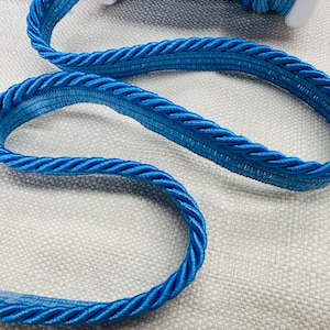 May include: A close-up of a blue braided trim, a type of decorative rope used for upholstery, curtains, and other home decor projects.