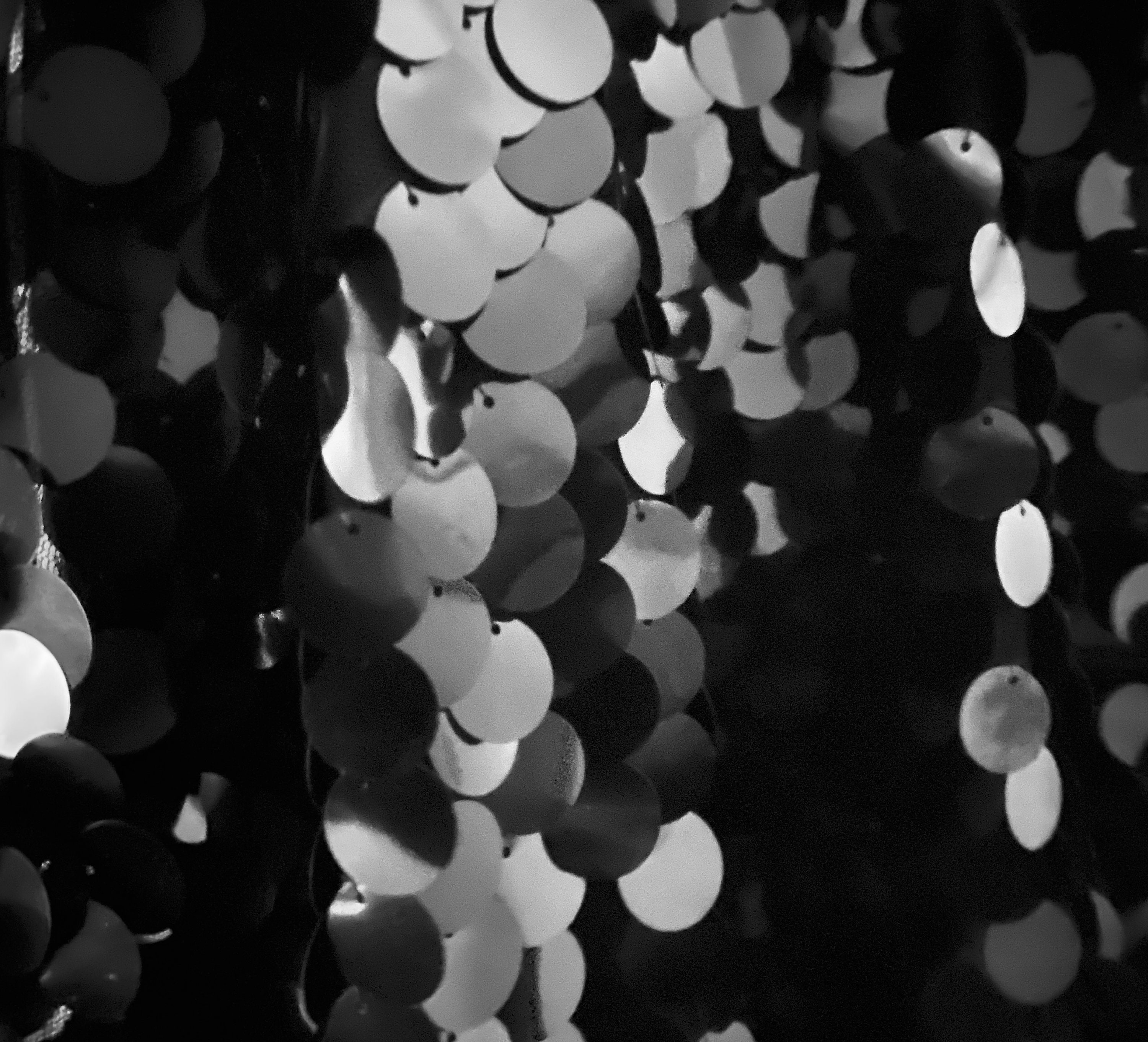 Black and white sequin 2025