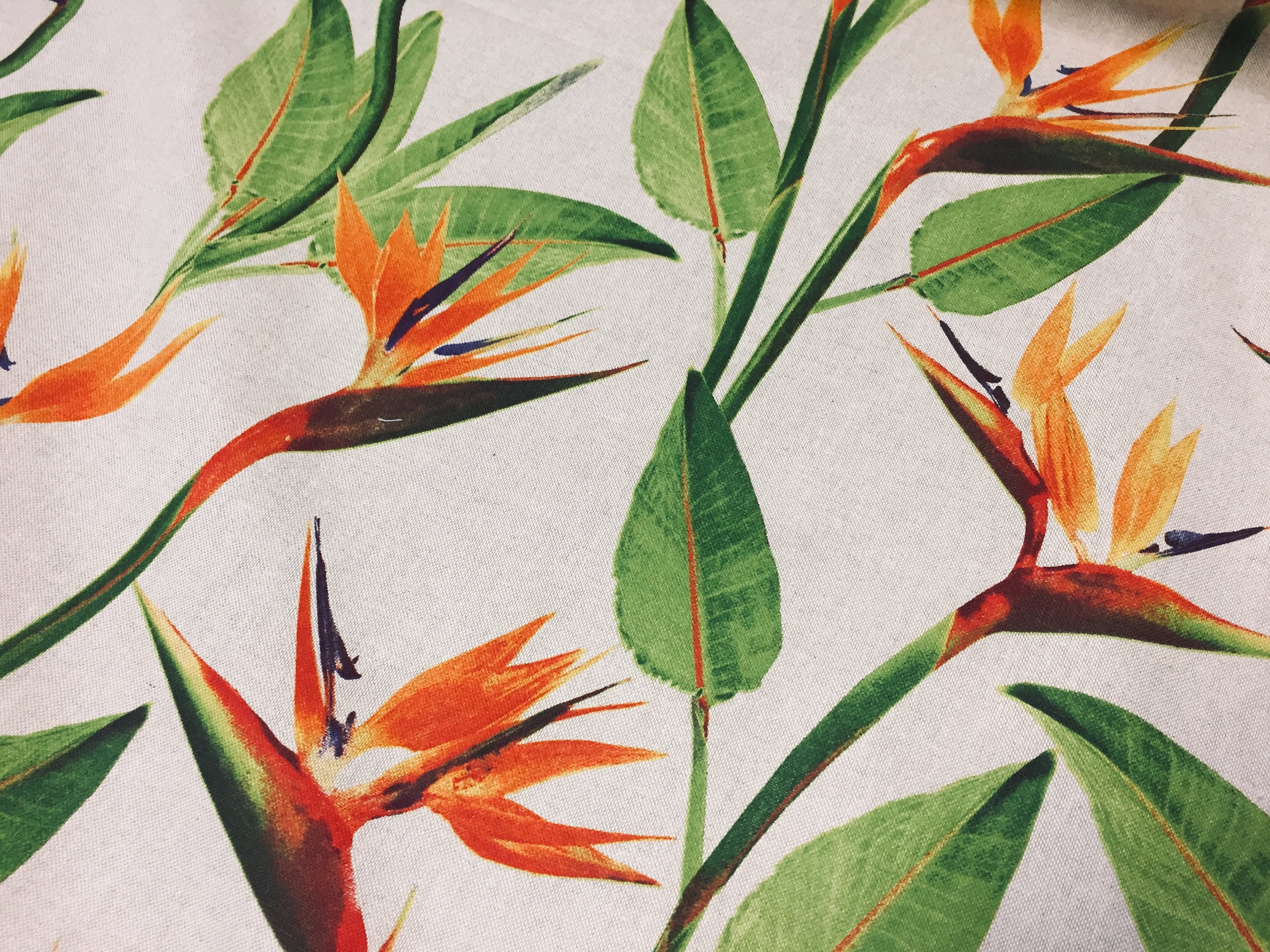 Bird of Paradise Ginger Plant Floral Fabric Orange Curtains | Etsy