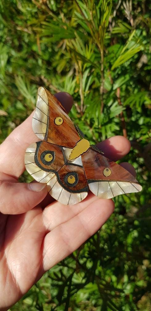 Emperor Gum Moth brooch