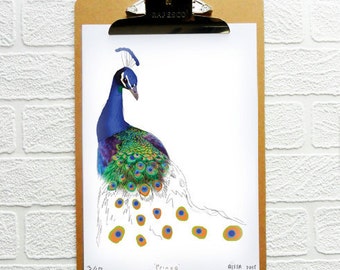 Peacock Drawing Print Limited Edition Fine Art Picture Print Decor Wall Art  Poster Illustration Drawing Artwork Room tierliebe