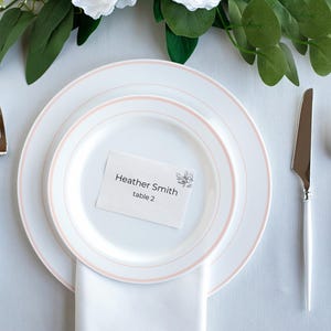 White Plastic Dinner Plate With Pink Rim, Disposable Bridal Shower Plate, Wedding Reception Table, Rehearsal Dinner Plate, Baby Girl Shower