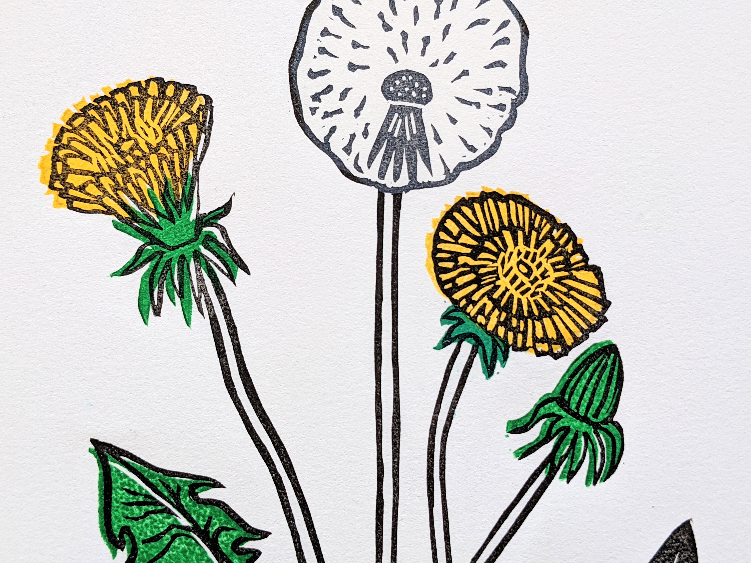 Dandelion Linocut Print 8x10 Etsy