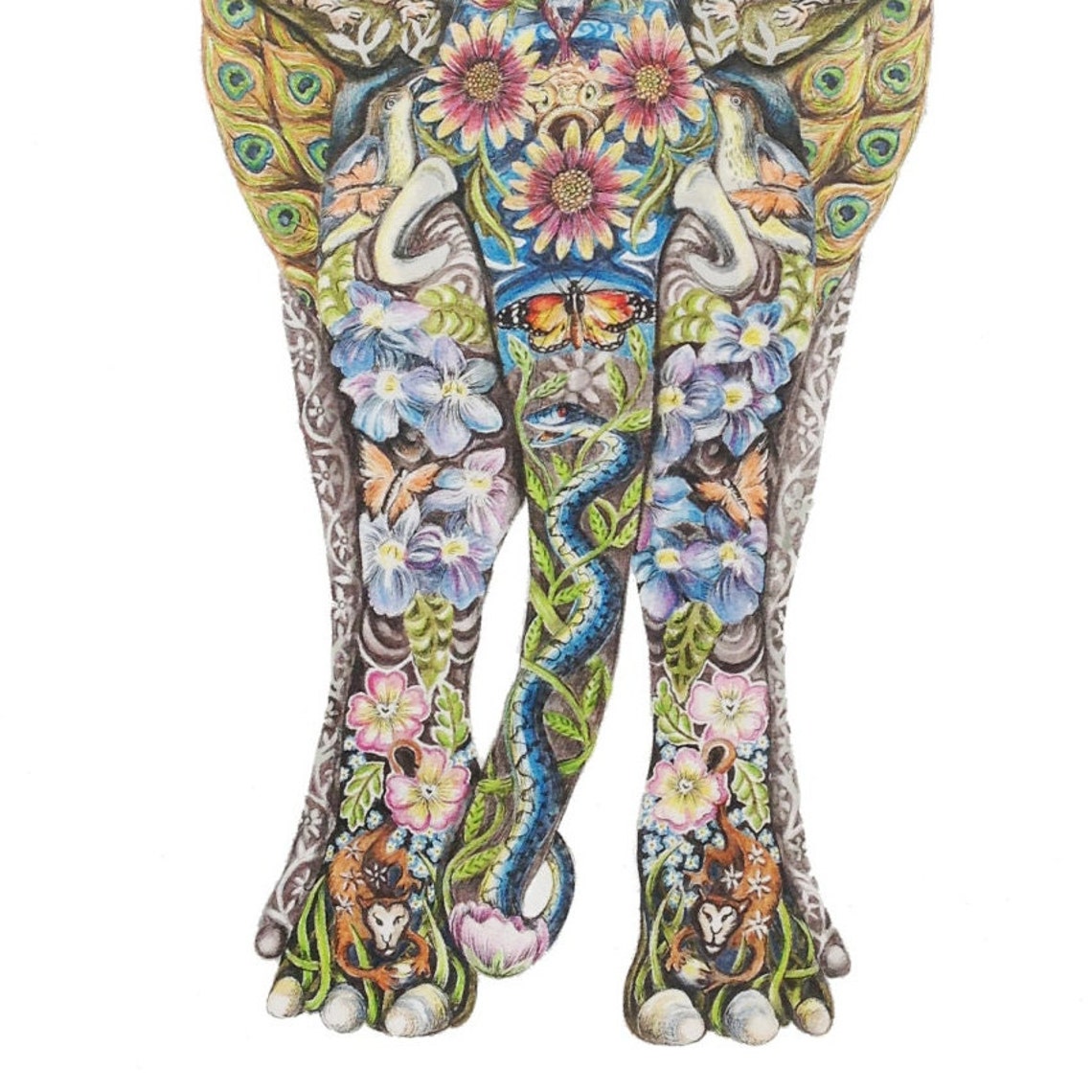 Decorative Indian Elephant Fine Art Giclee Print Etsy