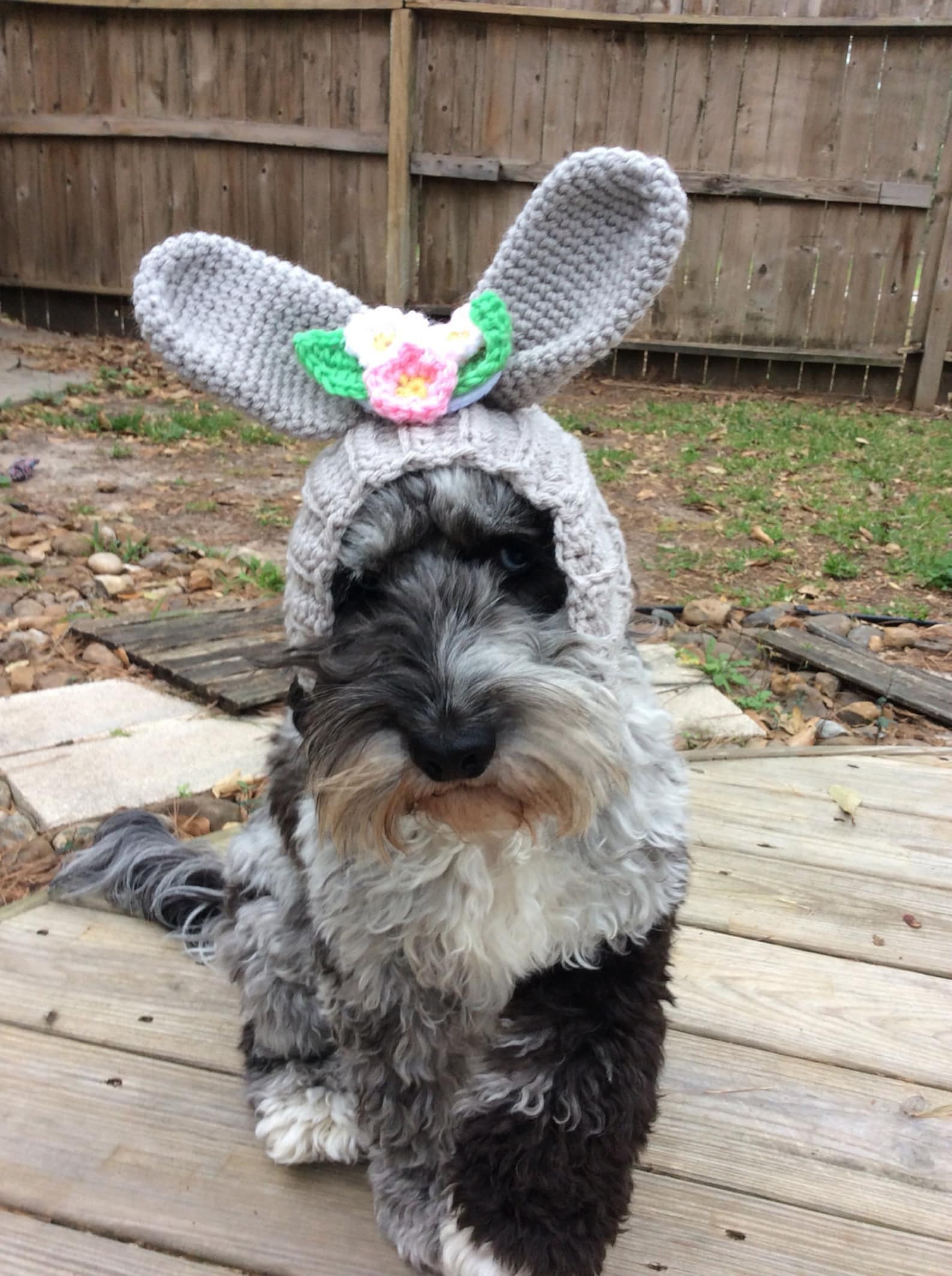 Bunny hat for dogs Quiet ears for dogs Dog snood Etsy