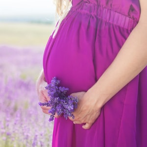May include: A pregnant person in a purple dress holds a bouquet of lavender flowers in a field of lavender.