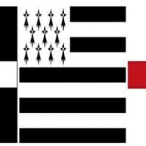 Puede incluir: Un diseño gráfico que presenta tres elementos de bandera distintos. El diseño incluye una cruz blanca sobre un fondo negro, una sección a rayas blancas y negras con flor de lis y una cruz roja sobre un fondo blanco. Las banderas están una al lado de la otra.