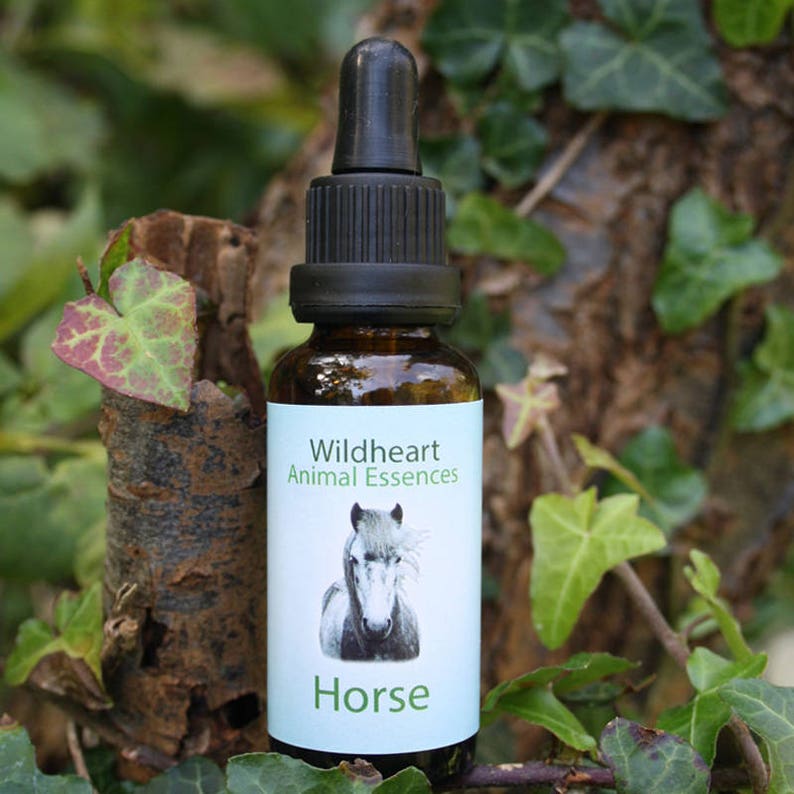 Wildheart Animal Essences Horse Etsy