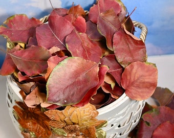 Dried Pear Leaves: Biodegradable Fall Decor Flower Girl Scatter