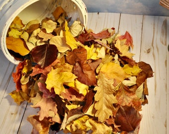 Natural Dried Fall Leaves Assortment: Biodegradable Wedding & Holiday Event Decor Flower Girl Alternative