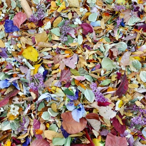 Fall Wedding Confetti: Biodegradable Dried Leaves & Petals