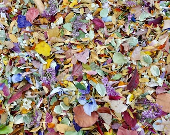 Fall Wedding Confetti: Biodegradable Dried Leaves & Flower Petals, Autumn Decor, Craft Supply