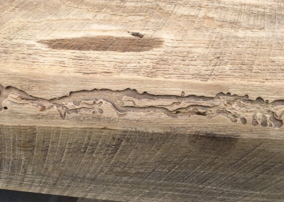 Beam 1918 Reclaimed Barn Wood Mantel Piece Hand Hewn Ash Etsy