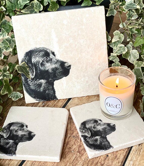 labrador coasters