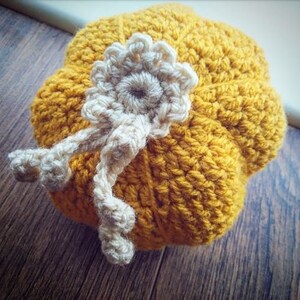 Crochet Pumpkin Pattern US Terms