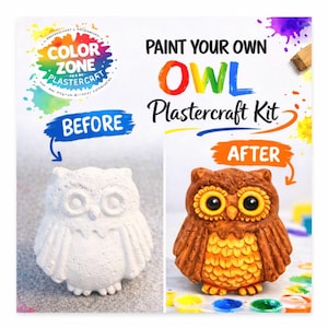 May include: A plastercraft kit with a before and after owl. The before owl is white, and the after owl is painted brown, orange, and yellow. The kit includes the text "Paint Your Own Owl Plastercraft Kit."