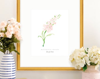 Blush Stock Flower Watercolor Floral Art Print; Hand Painted Wall Art; Floral Design; Grandmillenial Decor