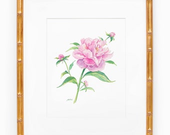 Peonies Botanical Study No. 1 Art Print; Watercolor Wall Art; Floral Design; Grandmillenial Decor