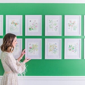 May include: A green wall with a gallery wall of white framed botanical prints featuring watercolor illustrations of flowers and plants. The prints are arranged in a grid pattern and are all the same size. A person is standing in front of the wall, looking at the prints.