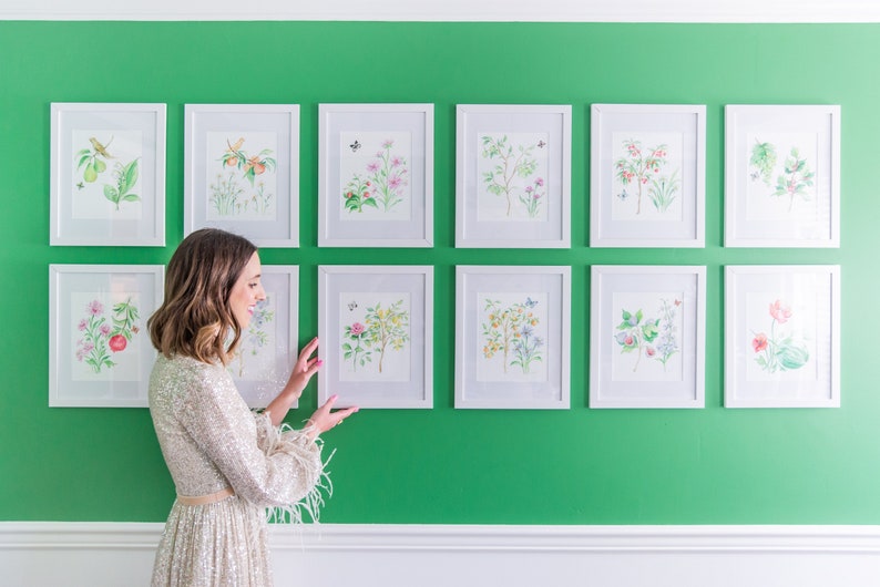 May include: A green wall with a gallery wall of white framed botanical prints featuring watercolor illustrations of flowers and plants. The prints are arranged in a grid pattern and are all the same size. A person is standing in front of the wall, looking at the prints.