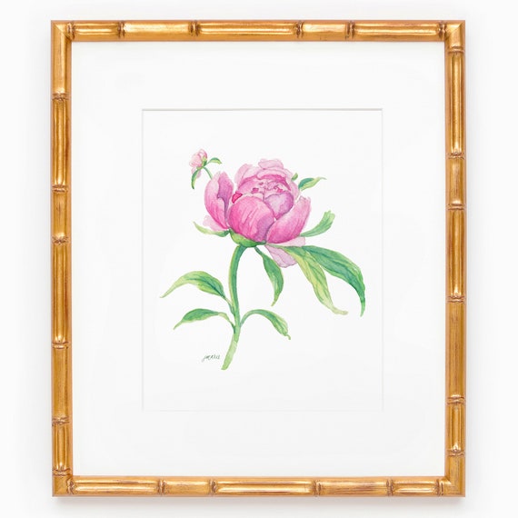 Peonies Botanical Study No. 2 Art Print; Watercolor Wall Art; Floral Design; Grandmillenial Decor