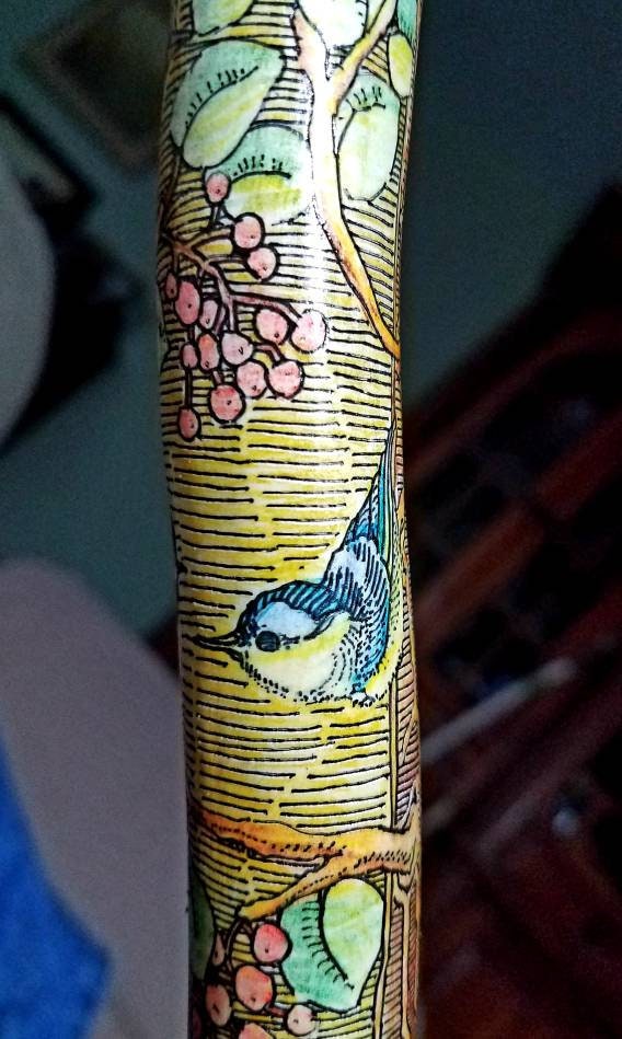 Rebecca's Tiny Back Yard Birds Walking Stick